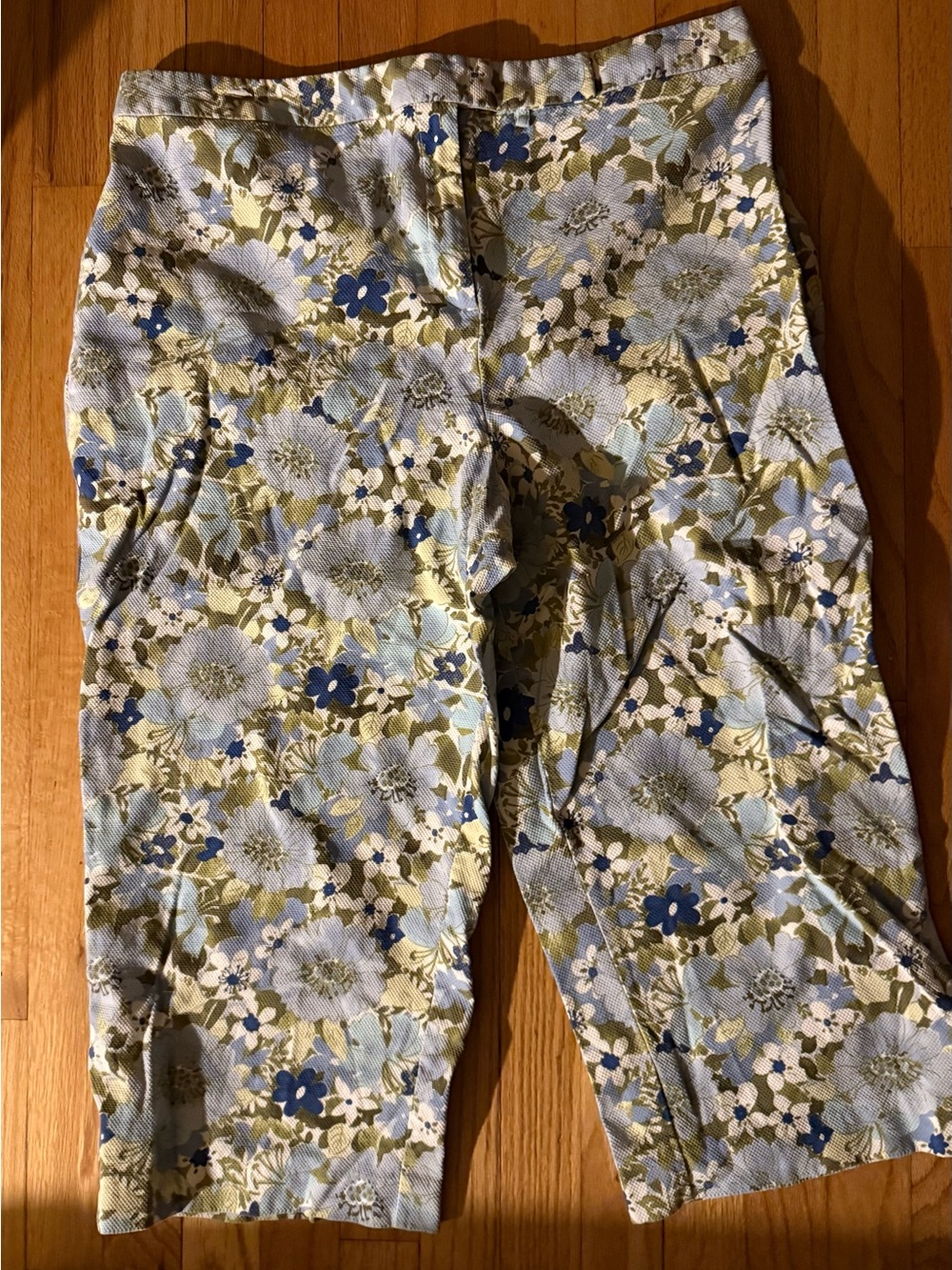Women's 20W  Jaclyn Smith capris